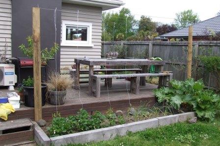 319065_10151064019322827_793086713_n cp