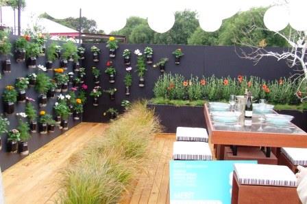 Dahlias, grasses and flowers