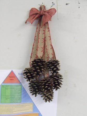 Hanging pinecone cluster