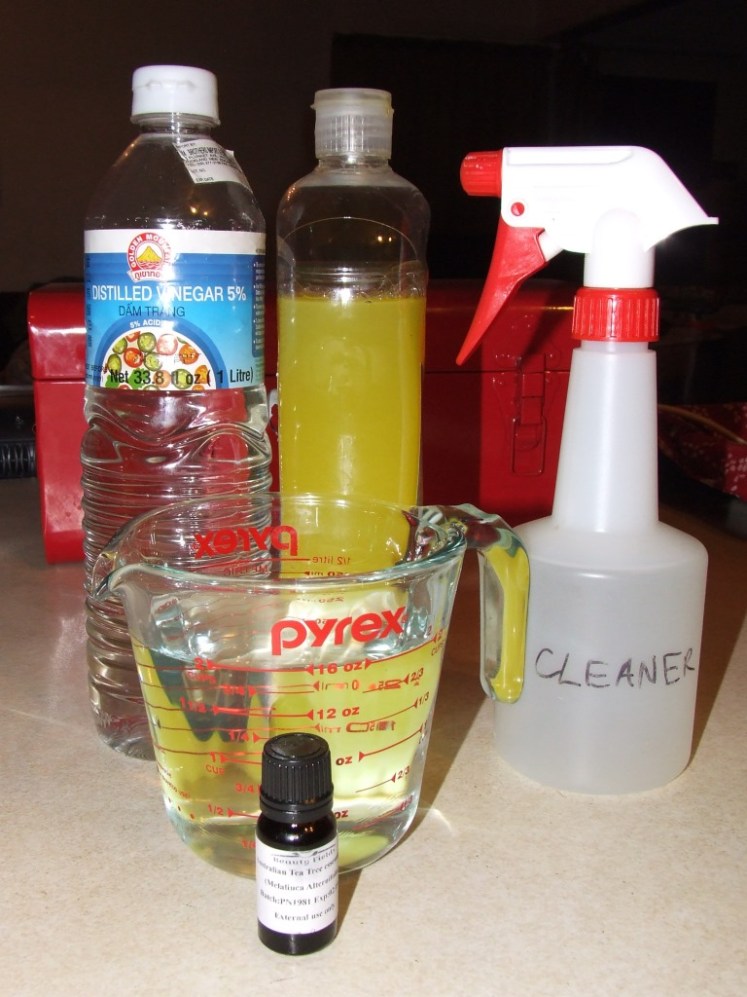 Things to make kitchen disinfectant