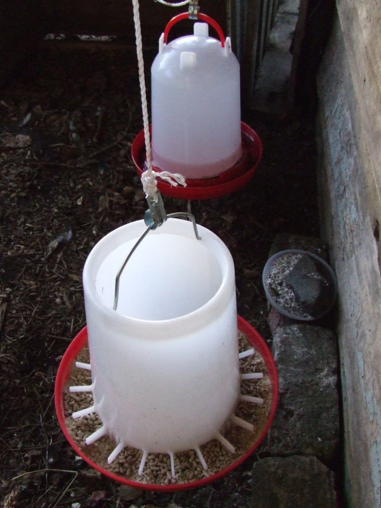 Chicken feeder and waterer