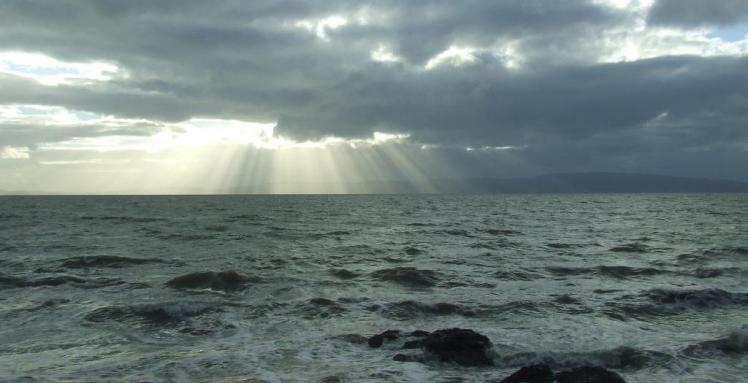 Sun rays over sea