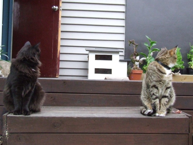 9651636296_c220612ac7_o cp