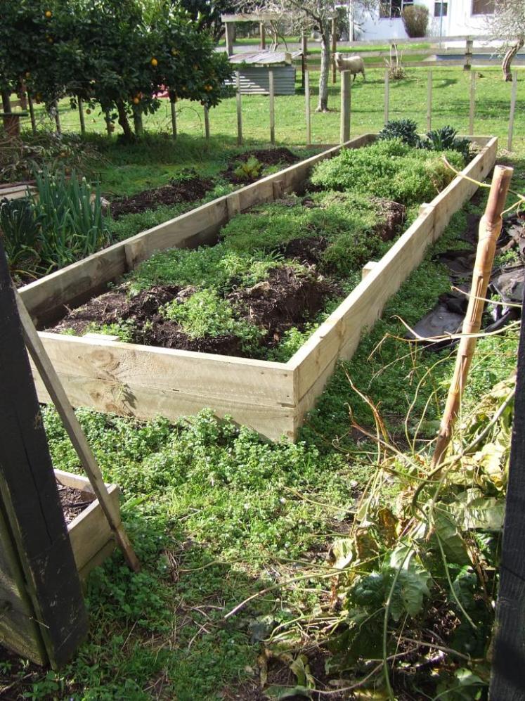 Raised vege bed