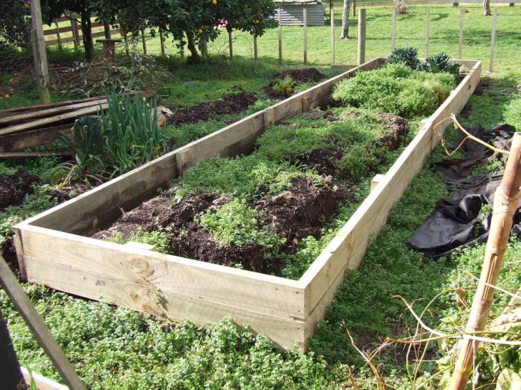 Raised vege bed