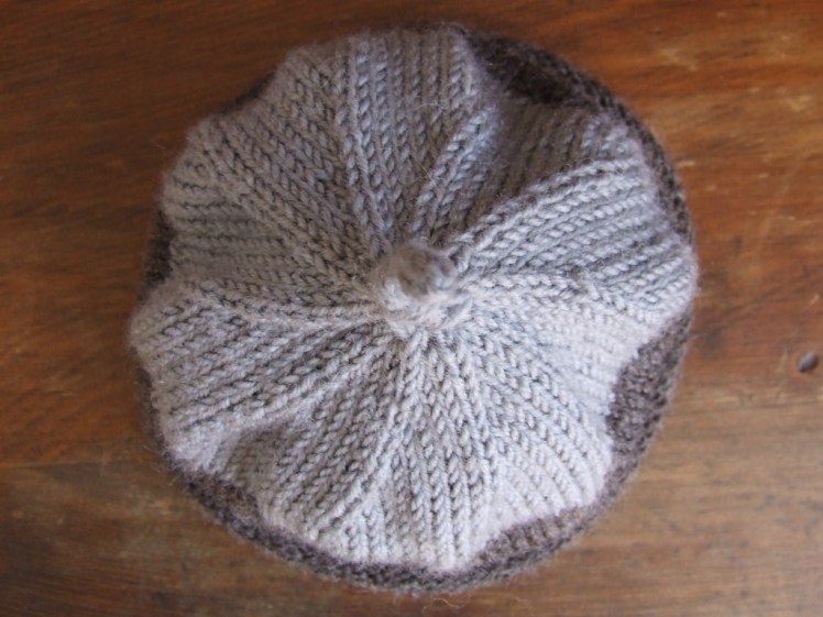 Little Twiglet's hat 3