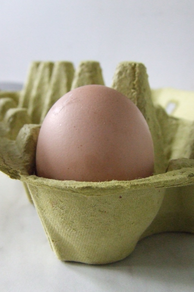 Egg