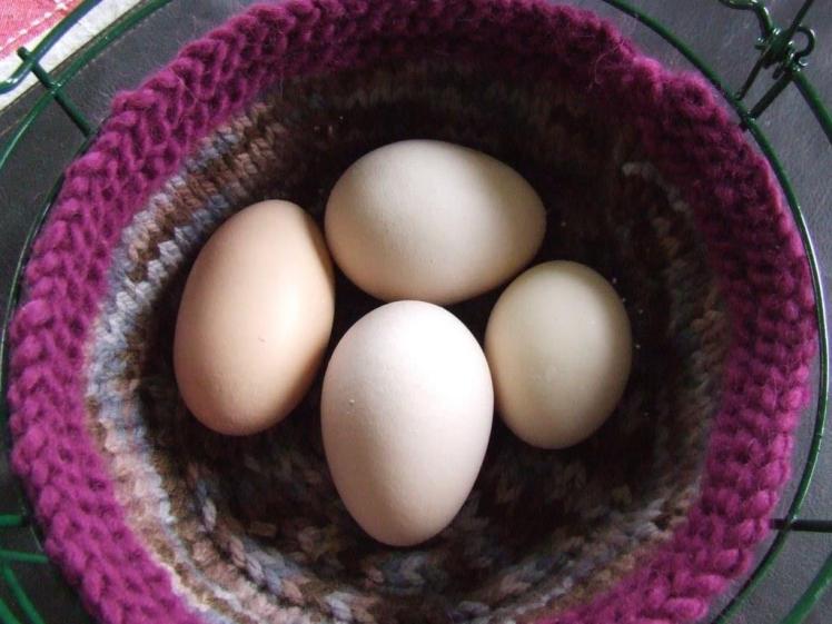 Three big eggs