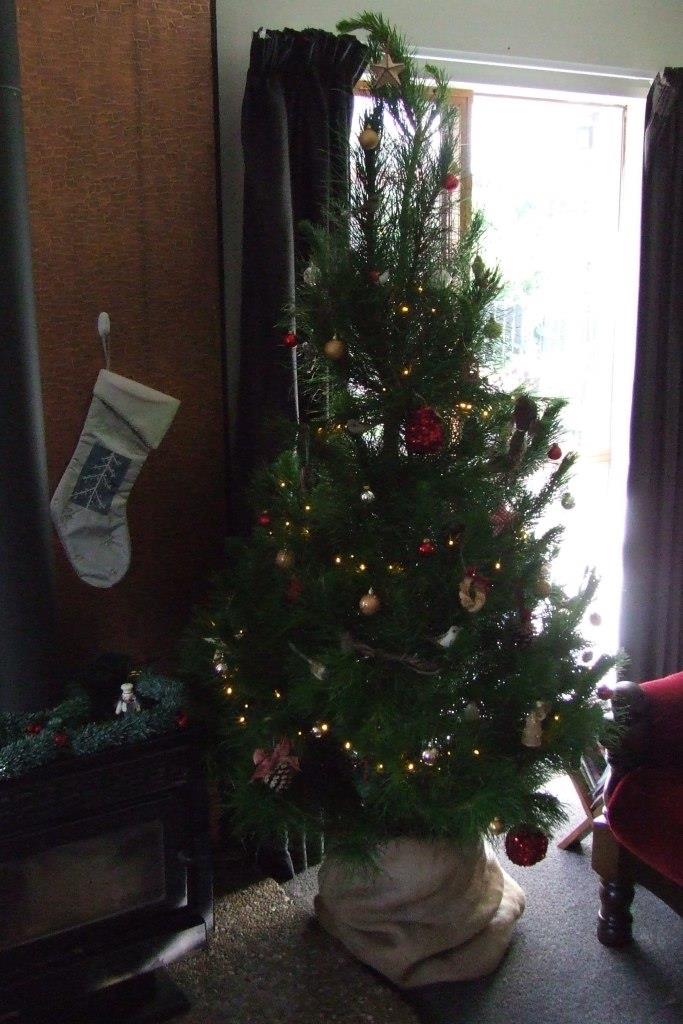 Christmas tree decorated 2