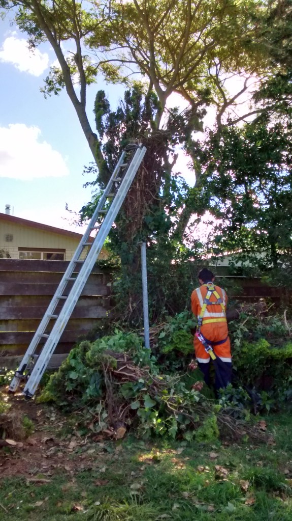 img_20170120_165129681_hdr