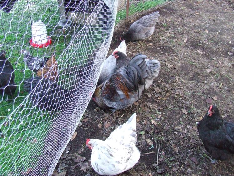 Getting to know each other