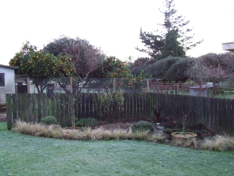 Frosty morning herb garden