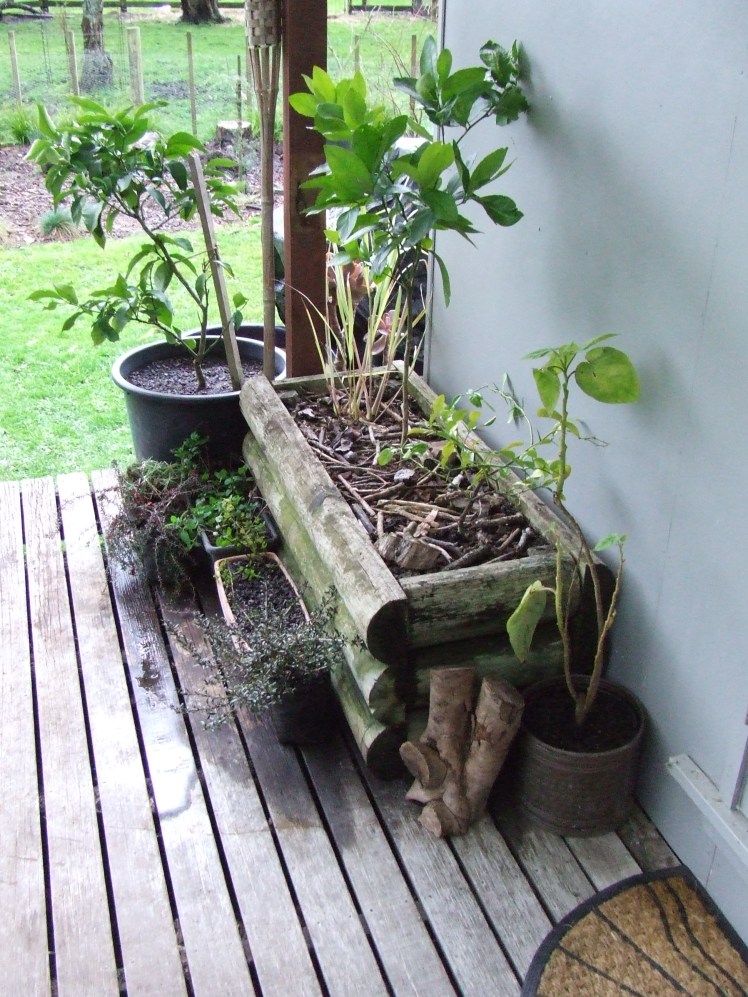 Deck plants