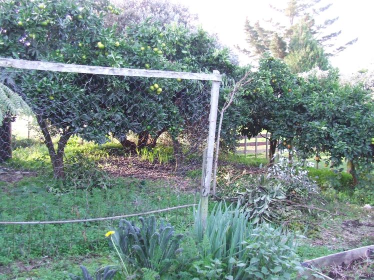 The orchard mess