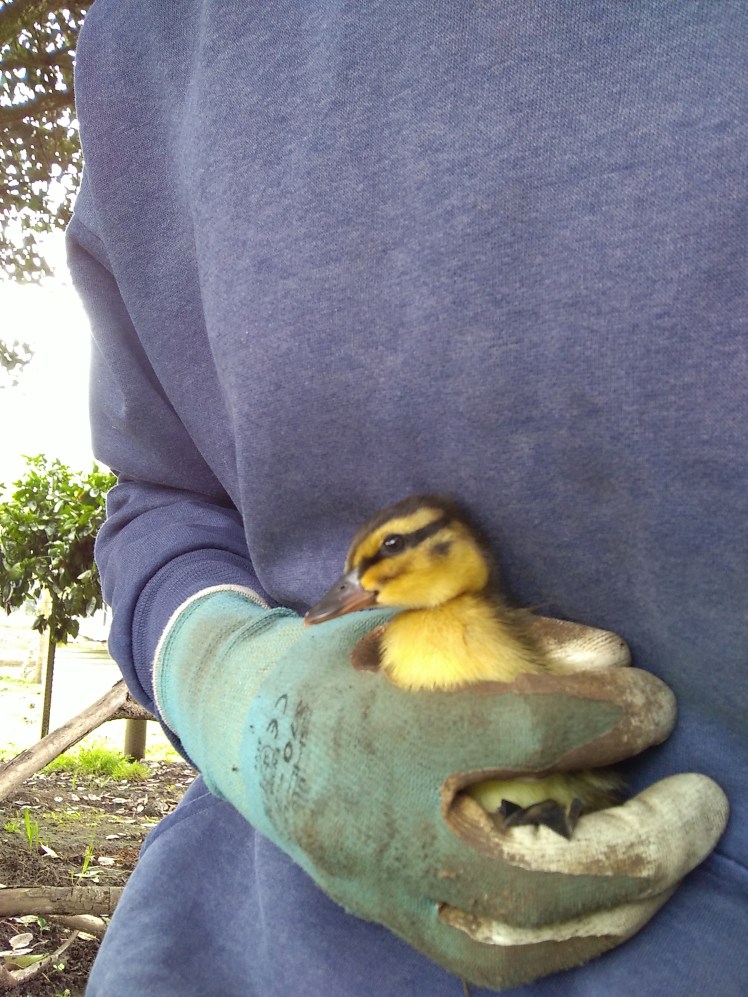 IMG_20171002_103815847