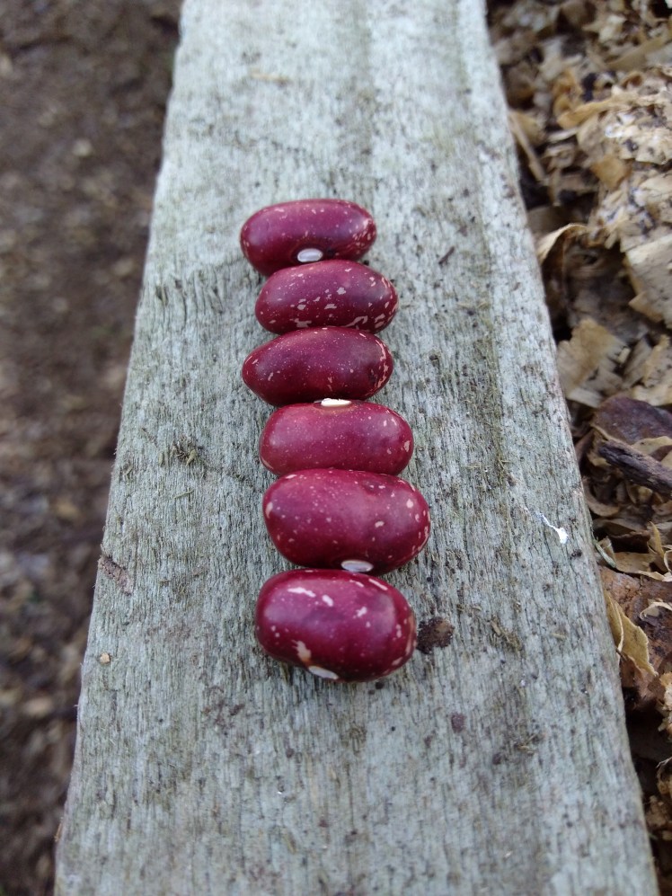 IMG_20171128_194914068