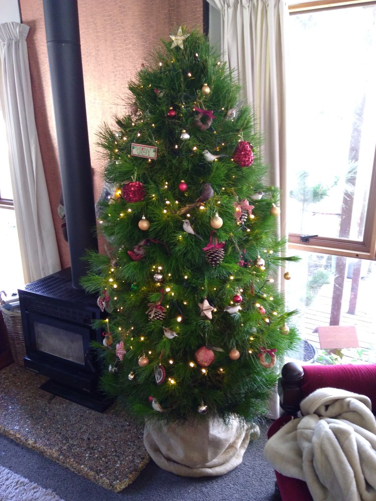 IMG_20171210_083559123