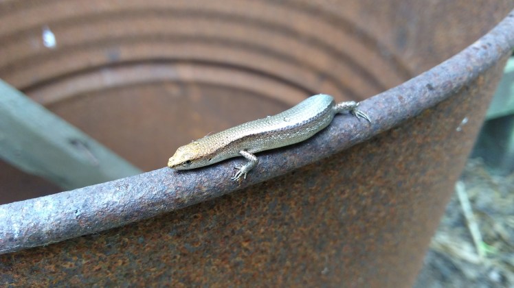 IMG_20180205_135728675