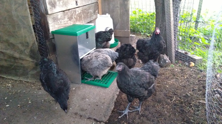 IMG_20180206_064545620