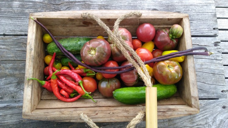 IMG_20180211_173835093