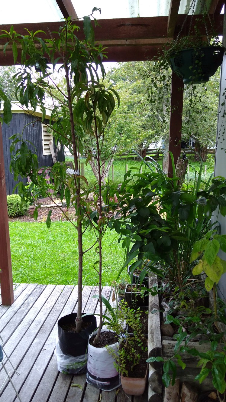 IMG_20180214_145557094