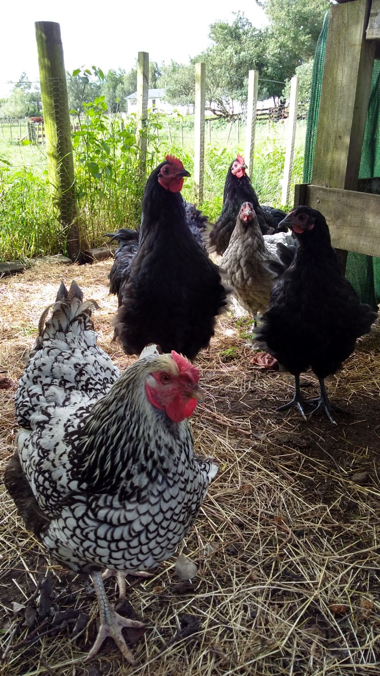 IMG_20180228_170204672_HDR