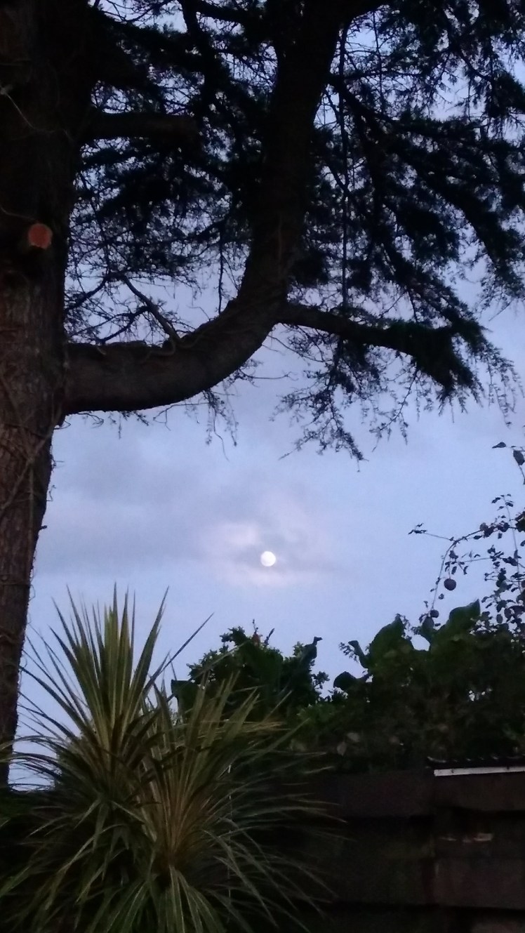 IMG_20180303_064852037