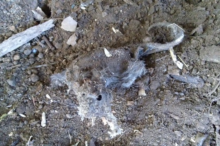 IMG_20180306_151415986 3x2