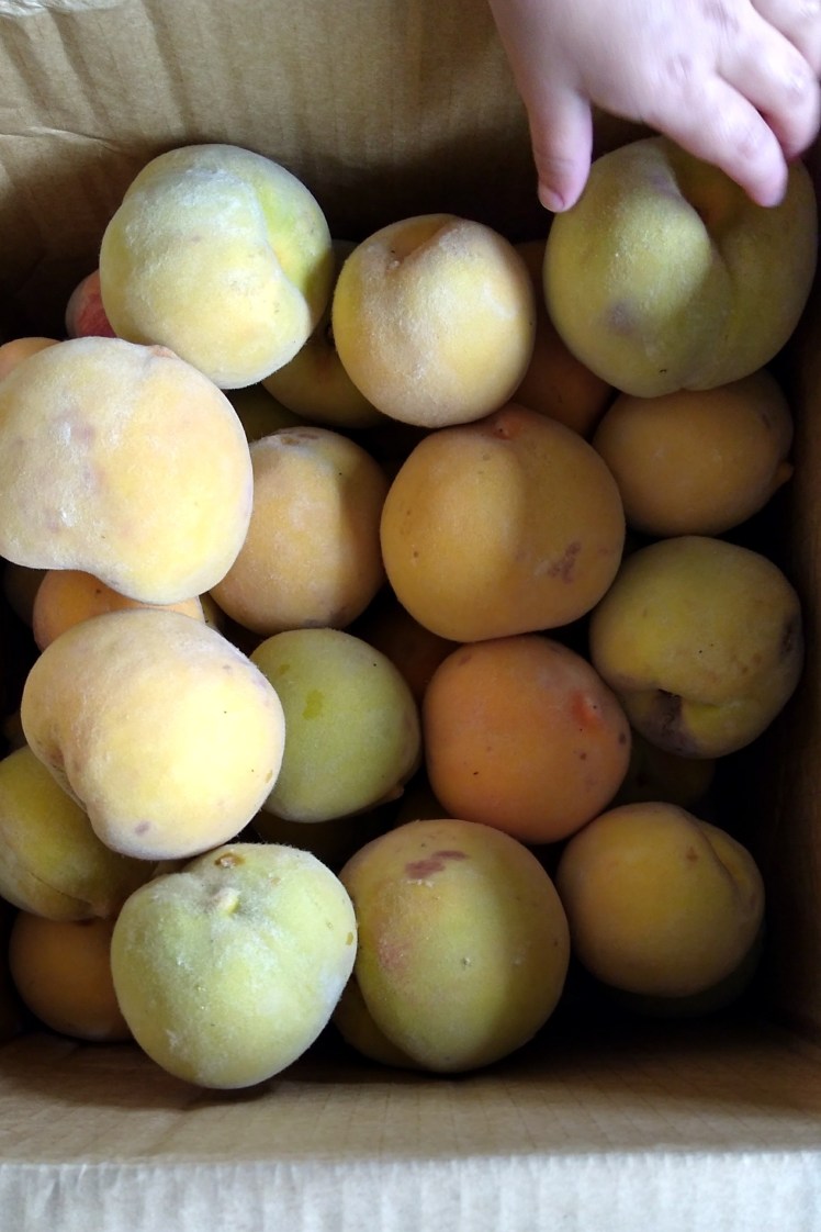 IMG_20180308_104746932_HDR