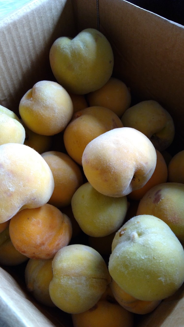 IMG_20180308_104814671