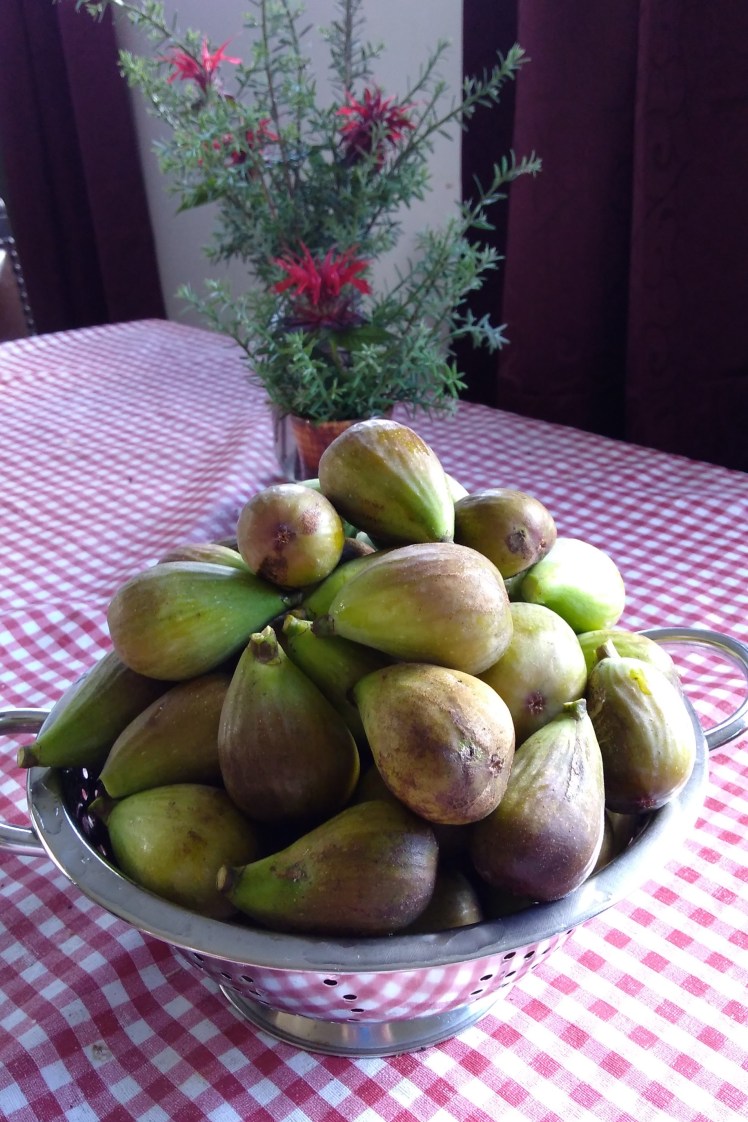 IMG_20180316_172858389 3x2