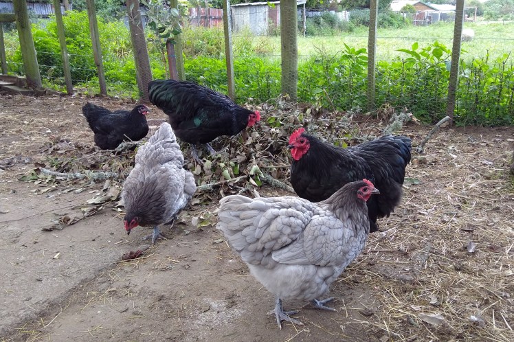 IMG_20180321_164754318 3x2