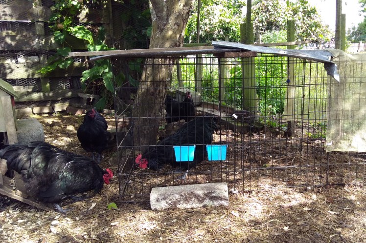 IMG_20180324_110642383 3x2