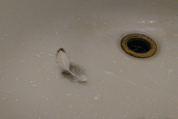 IMG_20180406_070225358 3x2