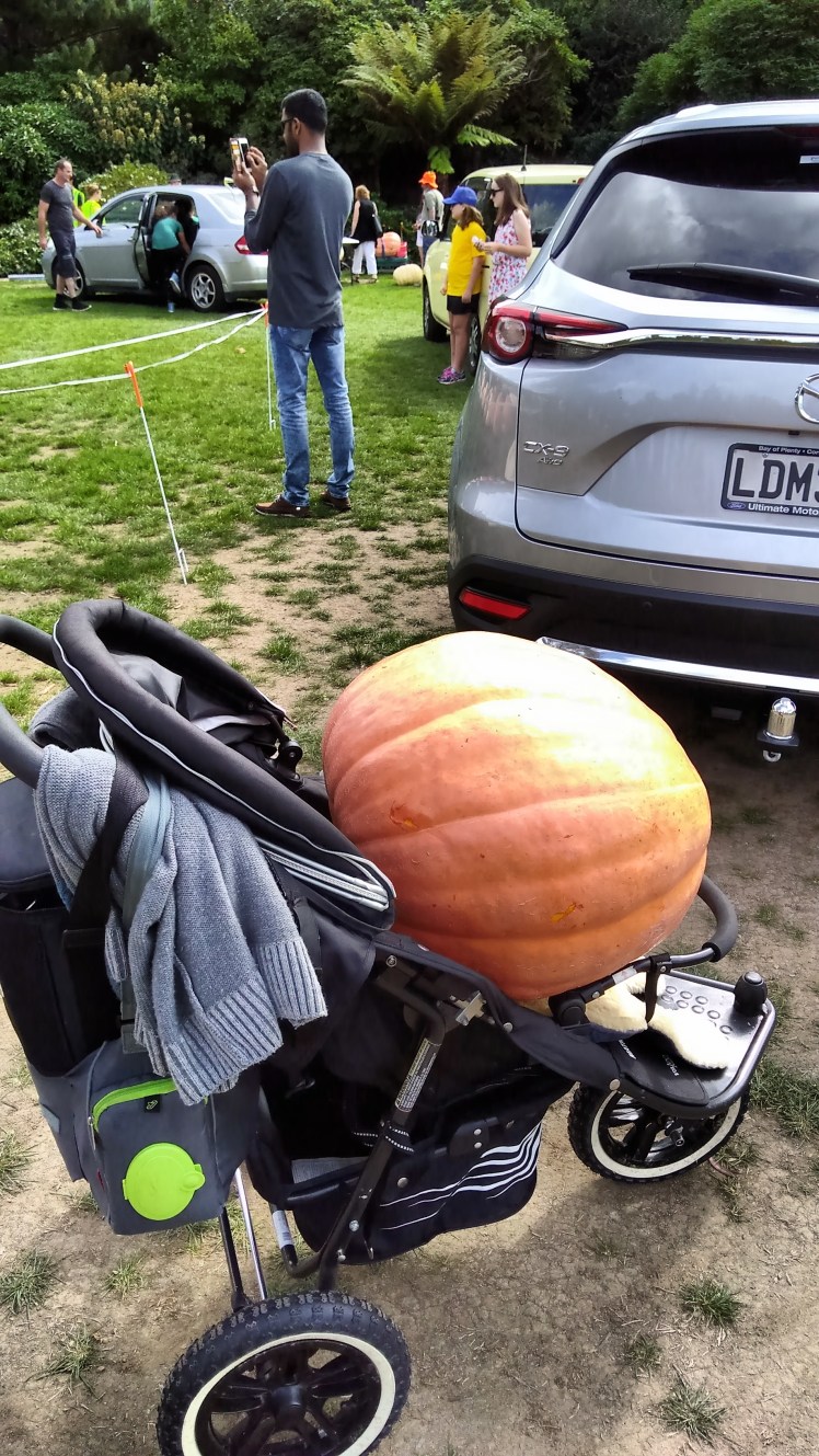 IMG_20180408_115012143