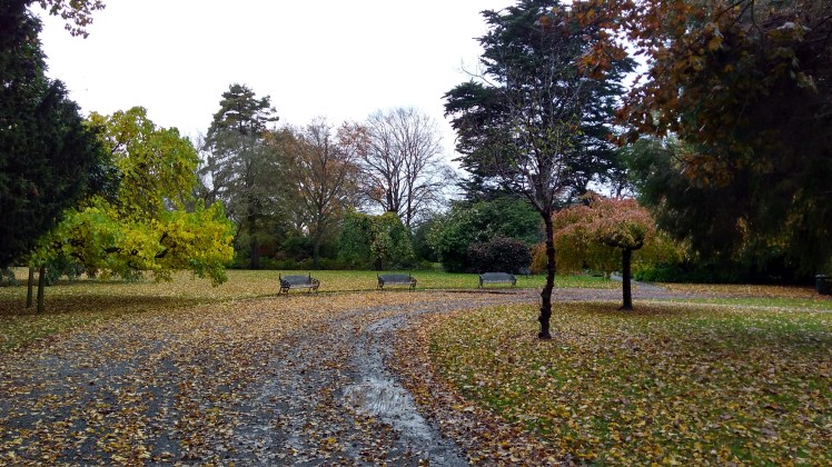 IMG_20180430_163329377_HDR