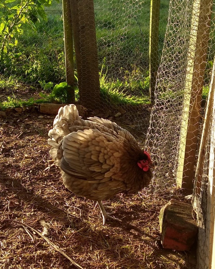 IMG_20180507_162108744_HDR 10x8