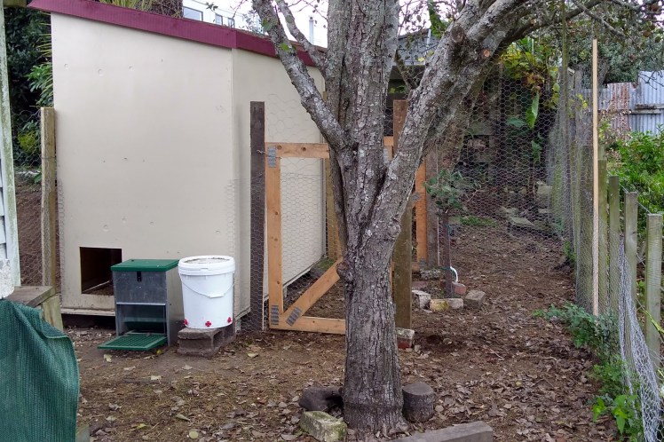 IMG_20180511_113111382_HDR 3x2