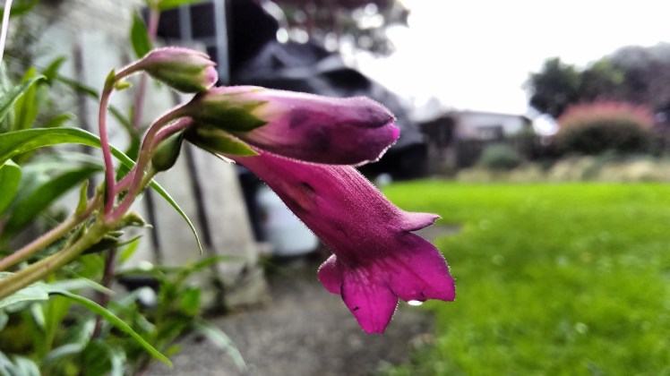 IMG_20180518_154155534