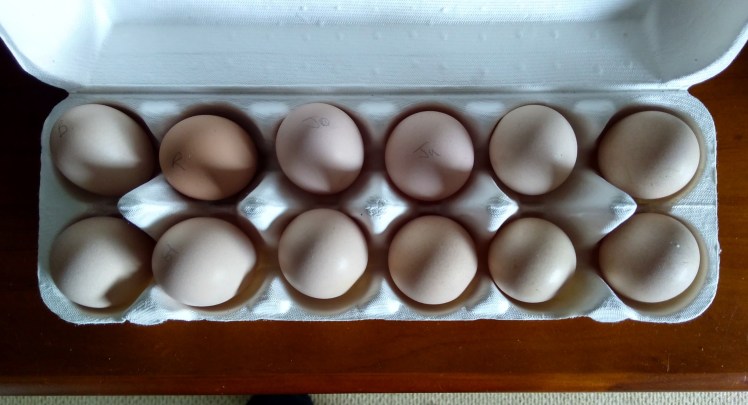 IMG_20180519_120536541_HDR