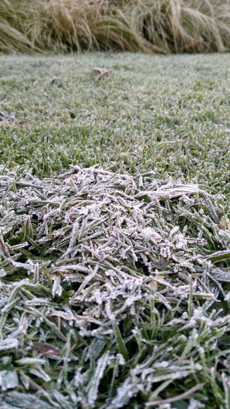 IMG_20180529_072011532_HDR