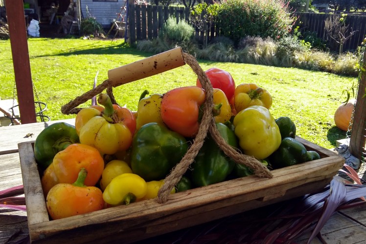 IMG_20180529_103756939_HDR 3x2