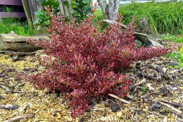 IMG_20180521_161049334_HDR 3x2