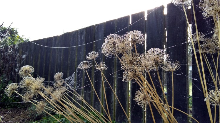 IMG_20180609_094508931_HDR