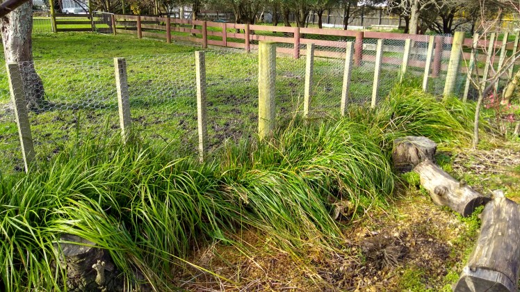 IMG_20180615_122512471_HDR