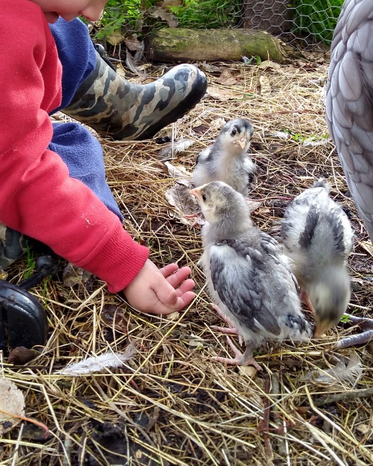 IMG_20180618_092211228_HDR 10x8