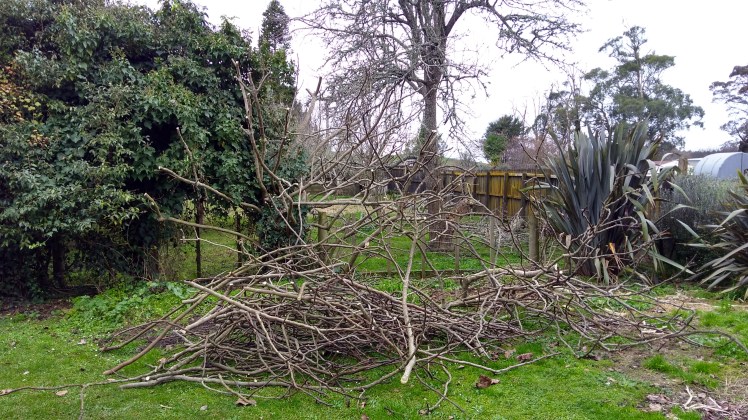 IMG_20180620_160236059_HDR