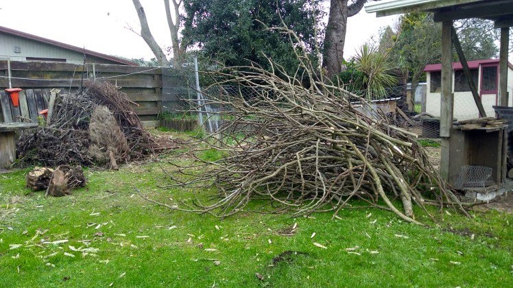 IMG_20180621_083401452_HDR