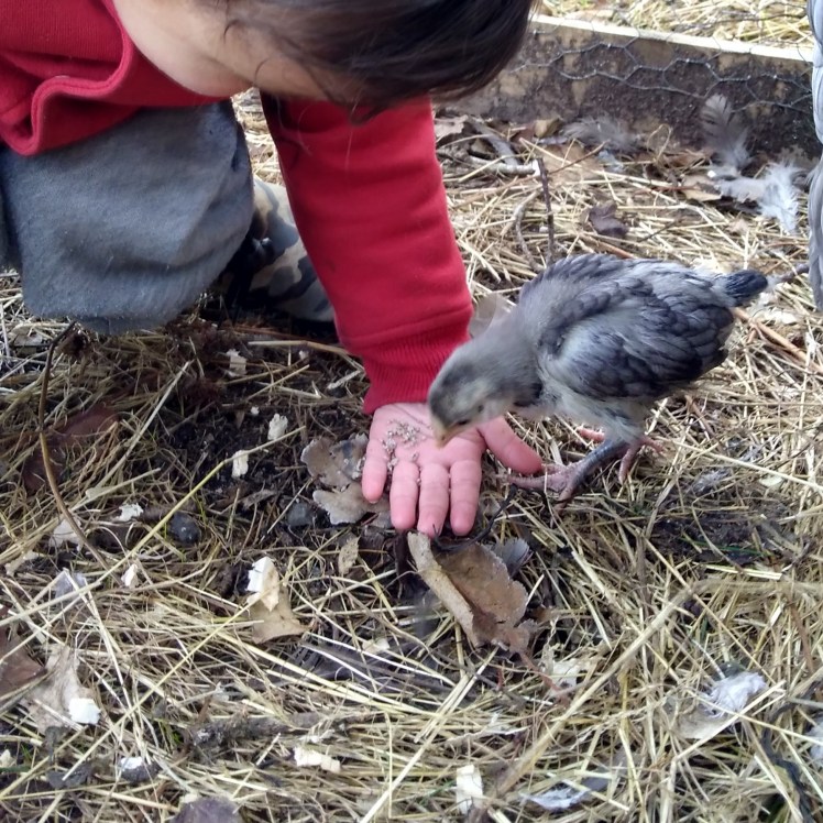 IMG_20180621_084330830_HDR sq