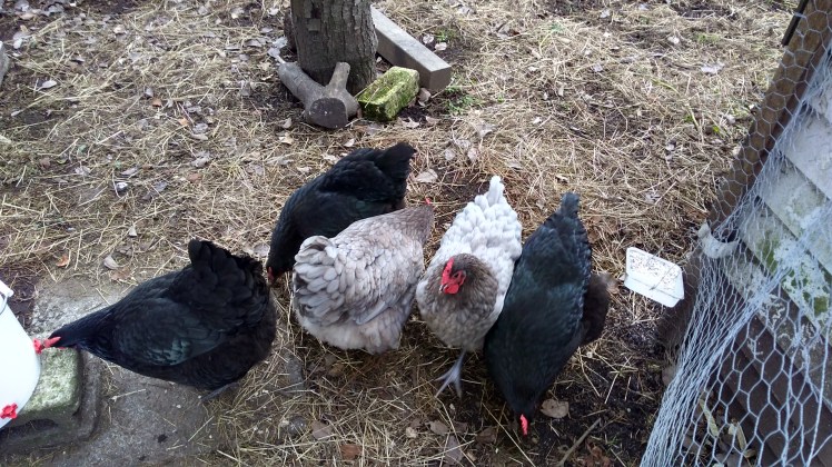 IMG_20180623_085406156_HDR